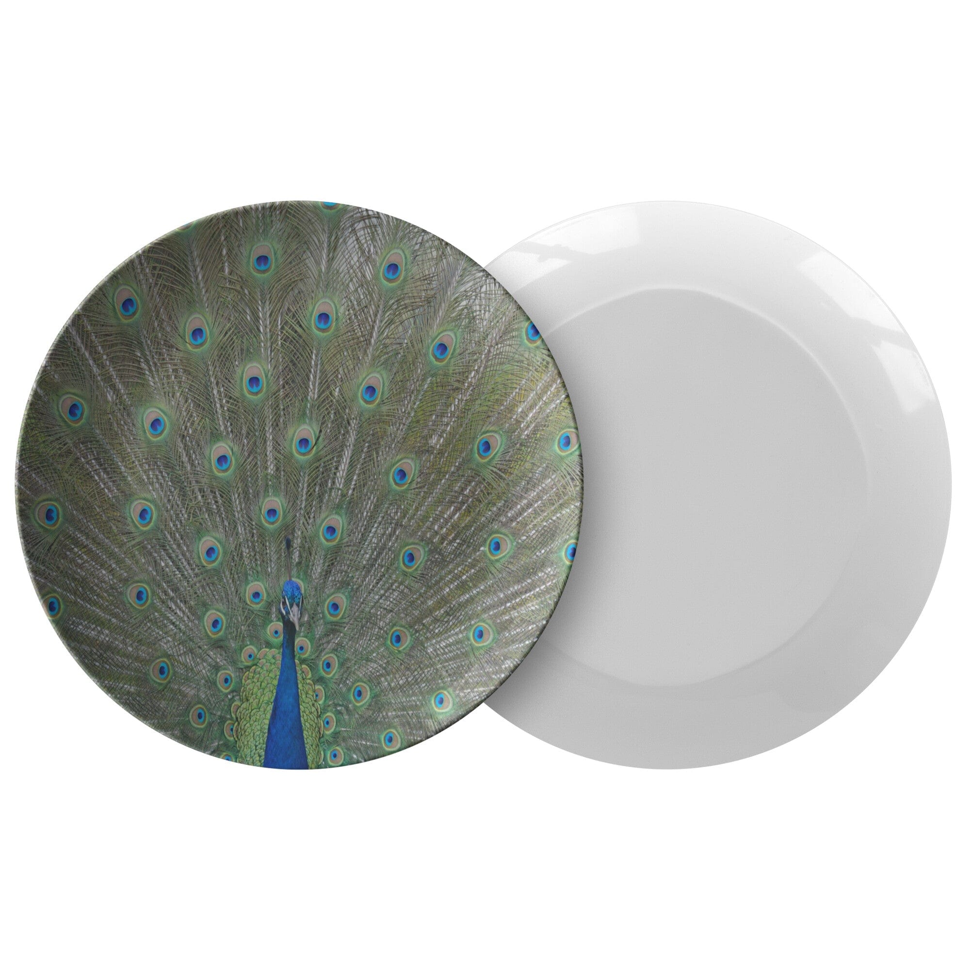 Kate McEnroe New York Peacock Dinner PlatePlates9820TWO