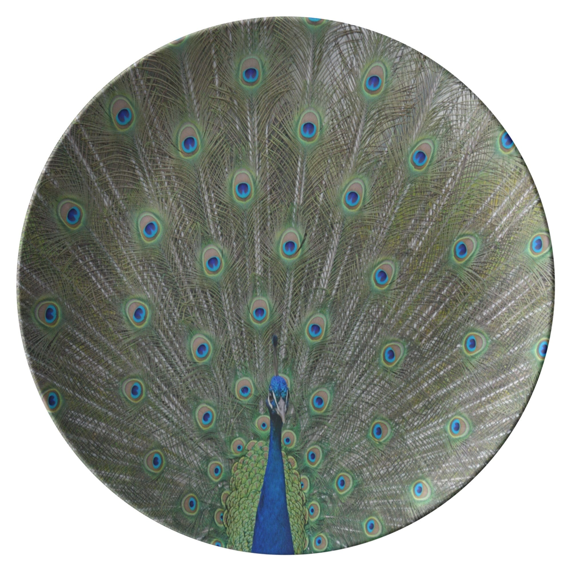 Kate McEnroe New York Peacock Dinner PlatePlates9820TWO