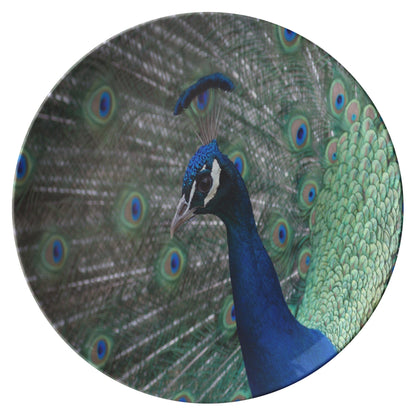 Kate McEnroe New York Peacock Dinner PlatesPlates9820SINGLE